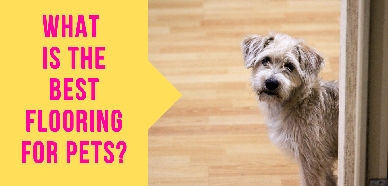 What is the Best Flooring for pets?